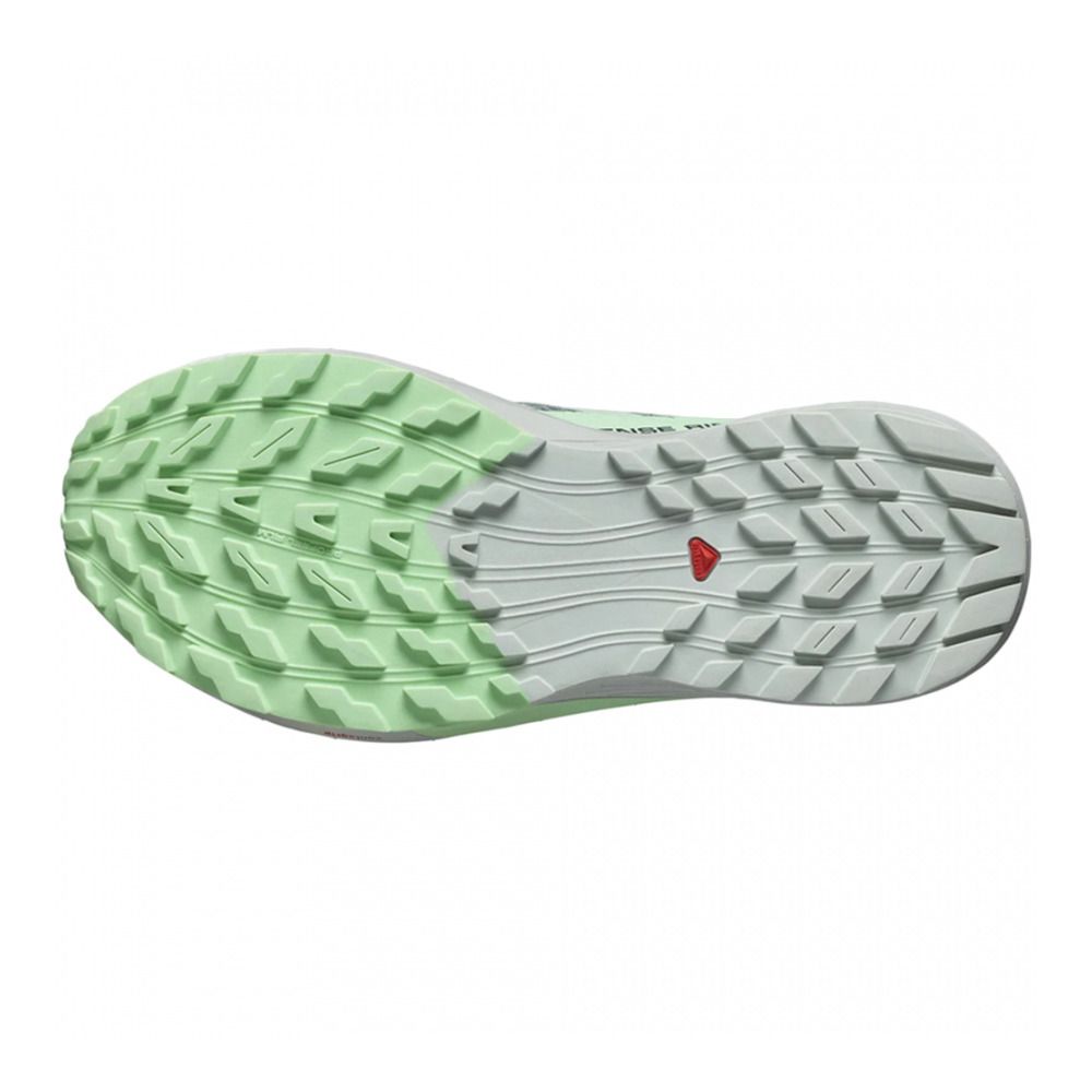 Salomon SENSE RIDE 5 W  - Chaussures trail Femme lily pad/metal/green ash