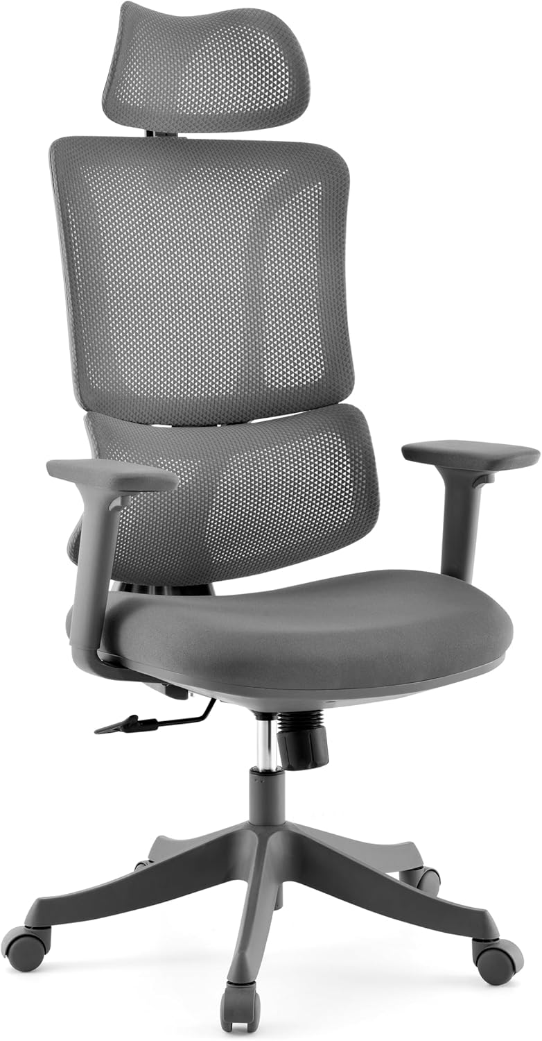Bürostuhl Ergomy Colore – ergonomischer Schreibtischstuhl, atmungsaktiver Rückenlehne, Verstellbarer Lordosenstütze, 3D Armlehnen & Kopfstütze, Grau