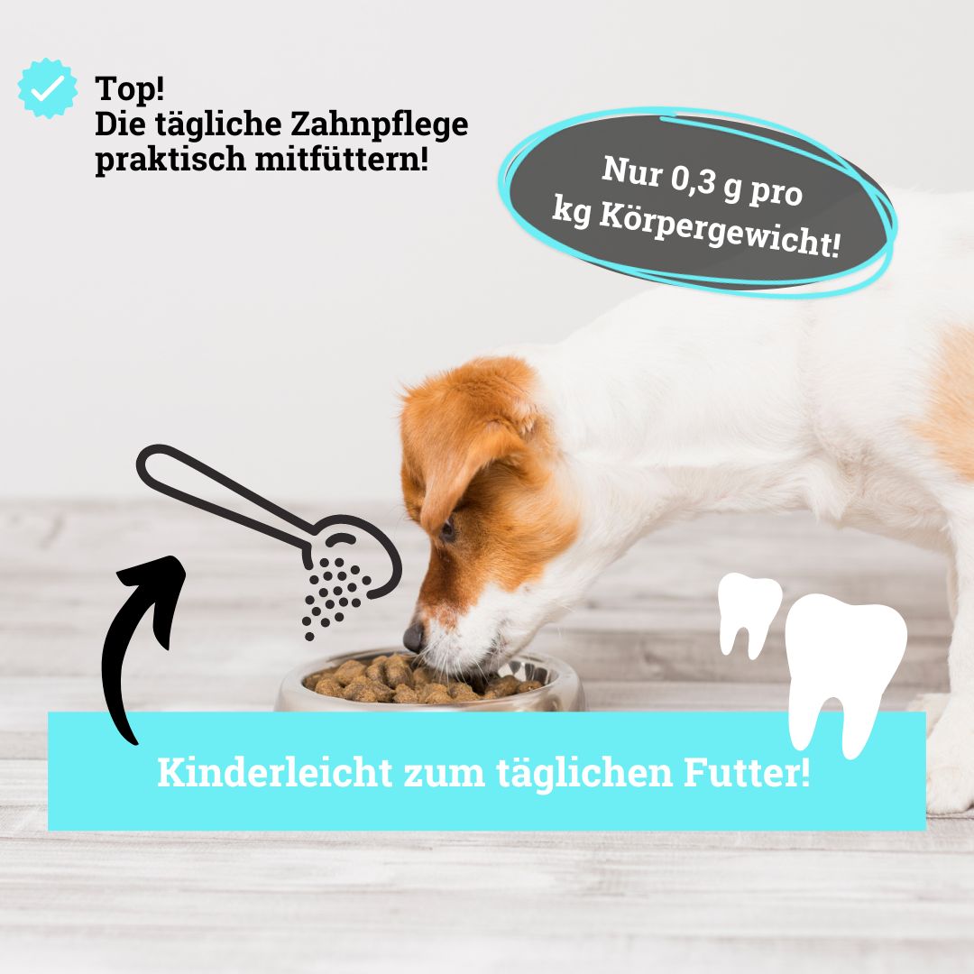 BeG Buddy Zahn weiß Pulver für Hunde zur Zahnreinigung, Zahnpflege Hund