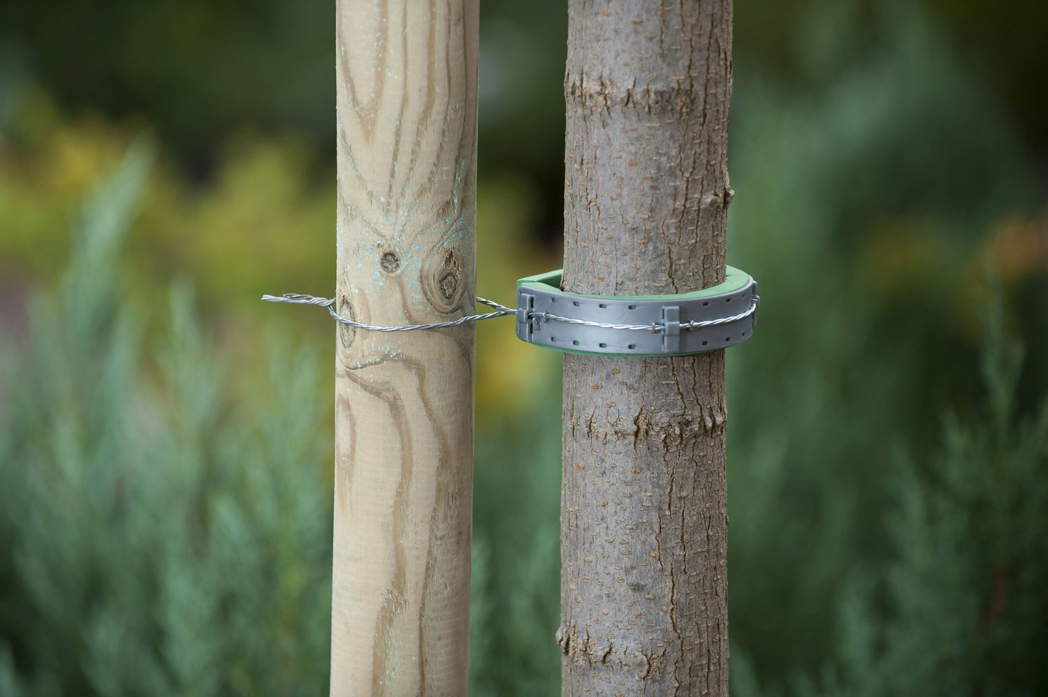 Nature boomband soft 30 x 2,5cm groen 2 stuks