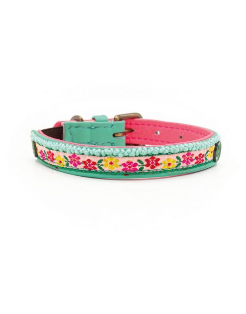 Dwam Kitty Kattenhalsband - Kattenhalsband - 22-27x1 cm Multi-Color