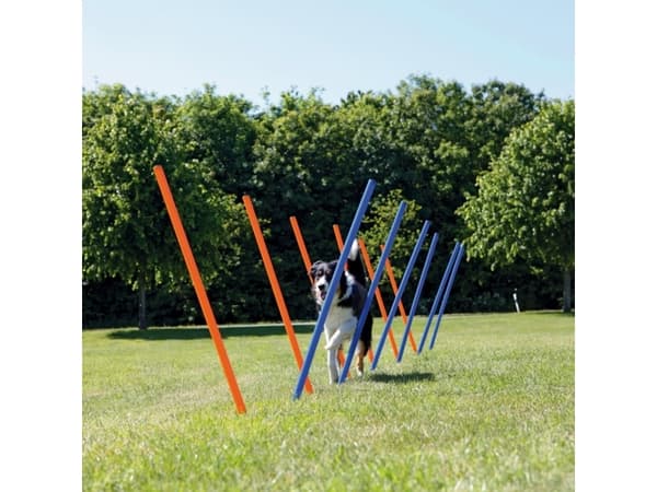 Trixie 12 Agility slalom pinde 115cm