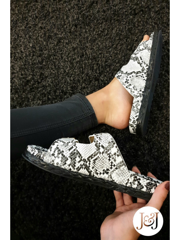 Nu-pieds python 'Dee'
