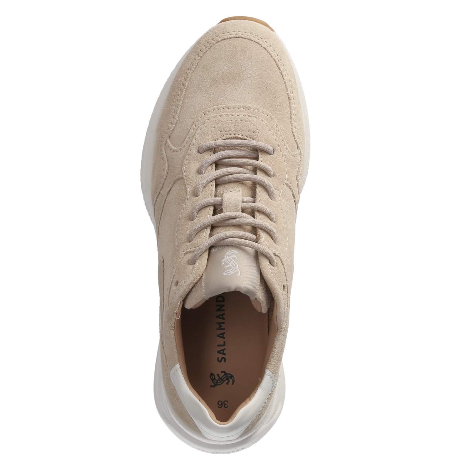 Salamander Low Sneaker - beige / white