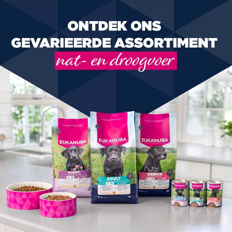 Eukanuba Adult Paté  - Hondenvoer - 400 Gram - rund