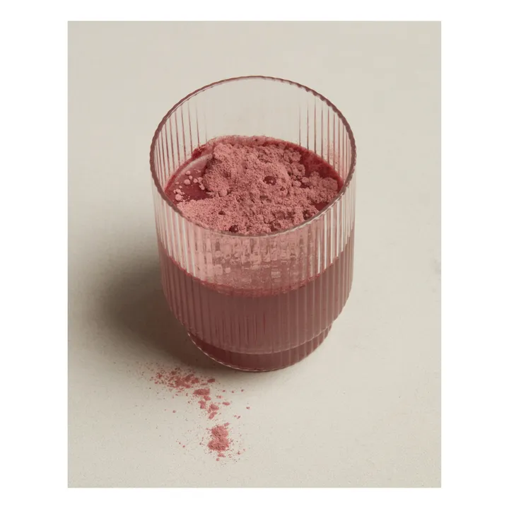Holidermie Poudre microbiote globale - 30 sachets