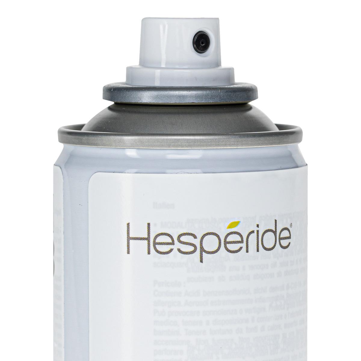 AEROSOL PROTECTION BOIS 200ML