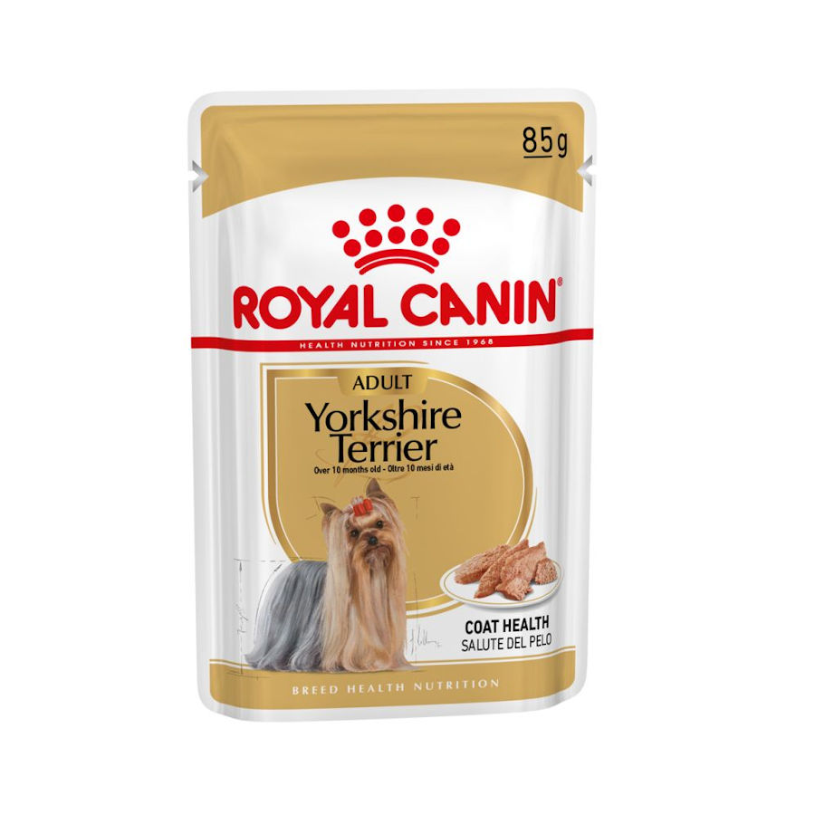 Sachê de ração Royal Canin para cães da raça Yorkshire Terrier