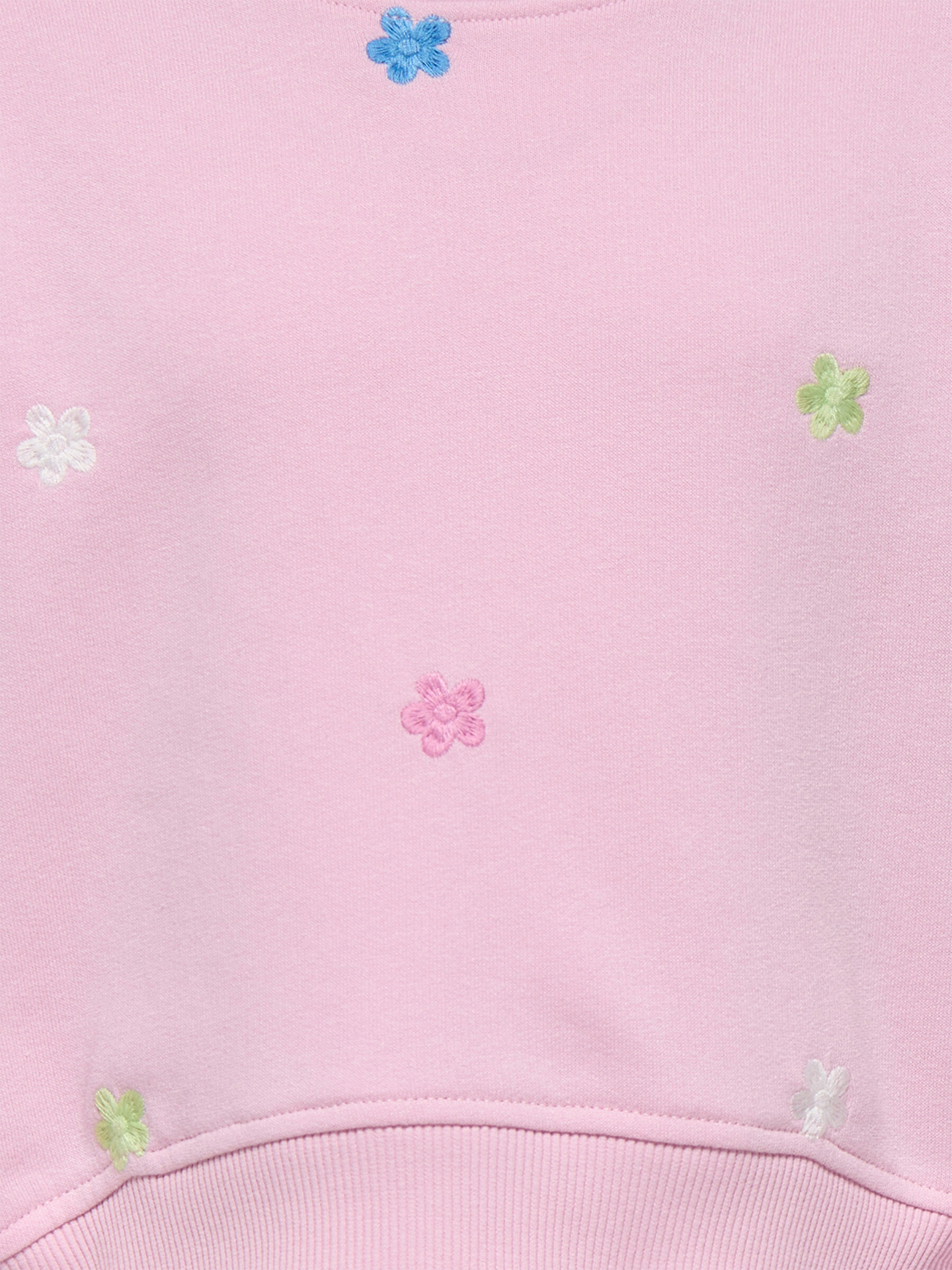 Lavina Life Long Sleeve Oneck Embroderie Pullover Sweat