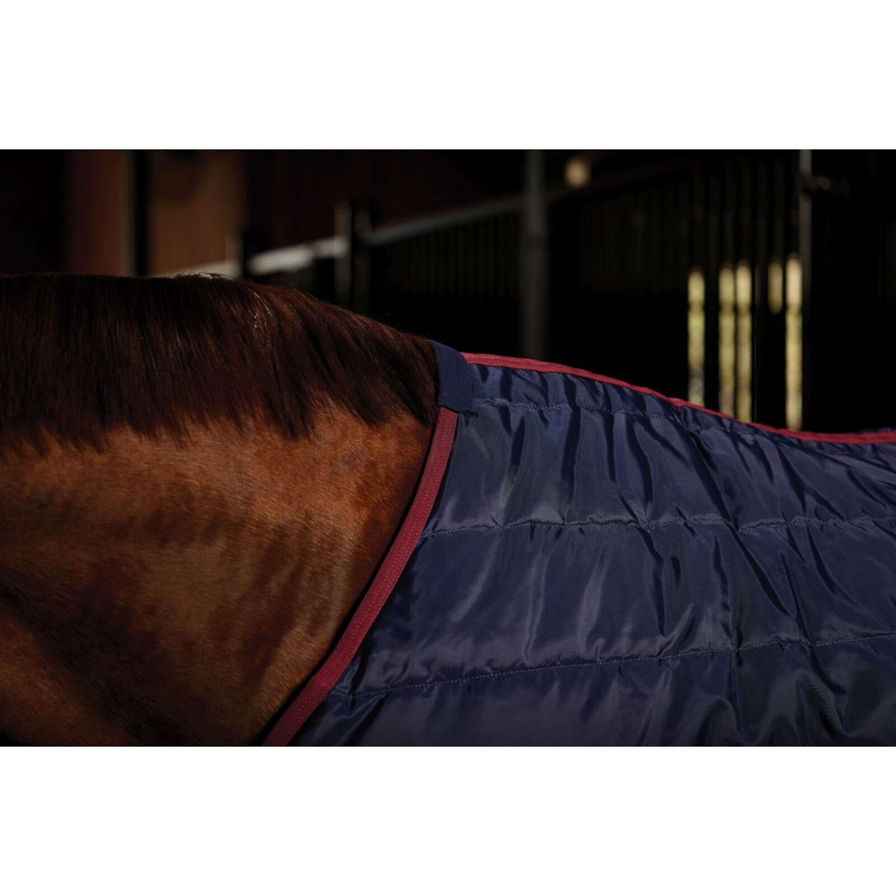 WeatherBeeta Staldeken ComFiTec 210D Channel Quilt Standard Neck 100g