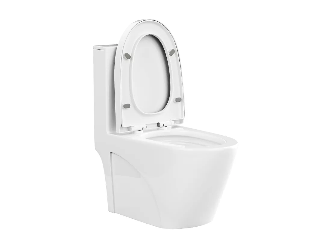 WC à poser blanc brillant en céramique - Evacuation horizontale - NAGILAM