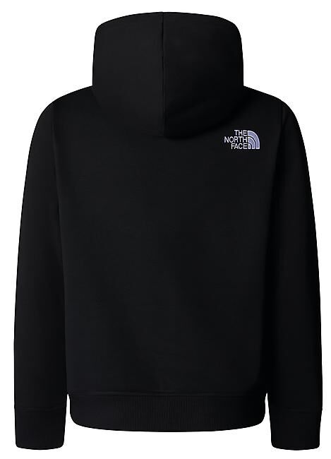 THE NORTH FACE - SWEAT A CAPUCHE B DREW PEAK P/O HOODIE
