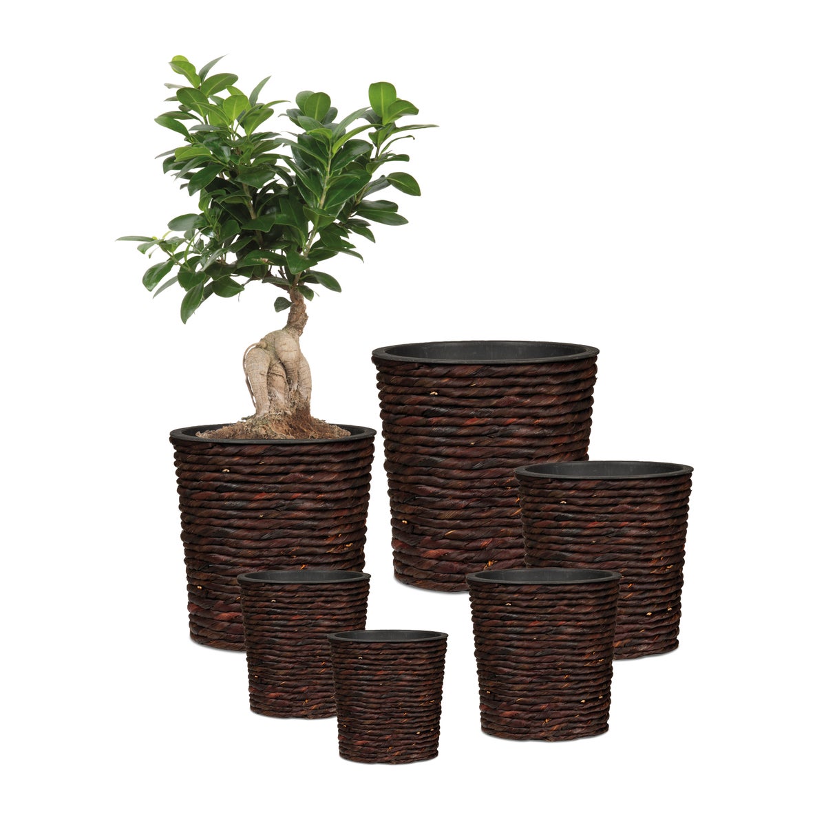 Scheurich Waterhyacint 24, plantenbak/mandpot van waterhyacint, kleur: bruin, 24 cm diameter, 24 cm hoog, 13 l inhoud.