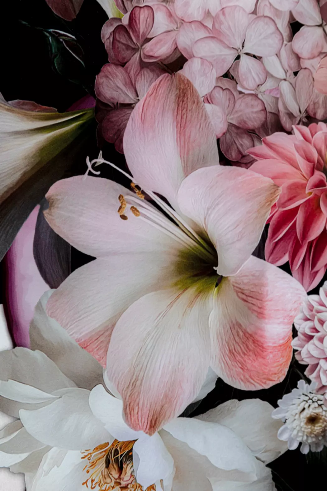 Wandbild 80 x 120 cm Flower Beauty 53075