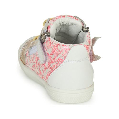 GBB - VALA - Rose
