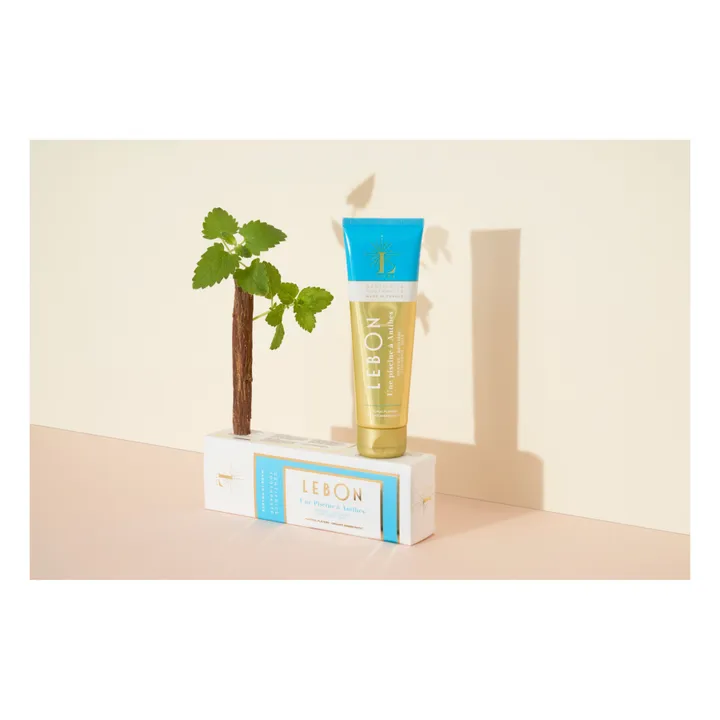 Lebon Dentifrice Une Piscine à Antibes