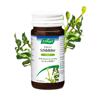 A.Vogel Kelpasan Schildklier Jodium Tabletten 180TB