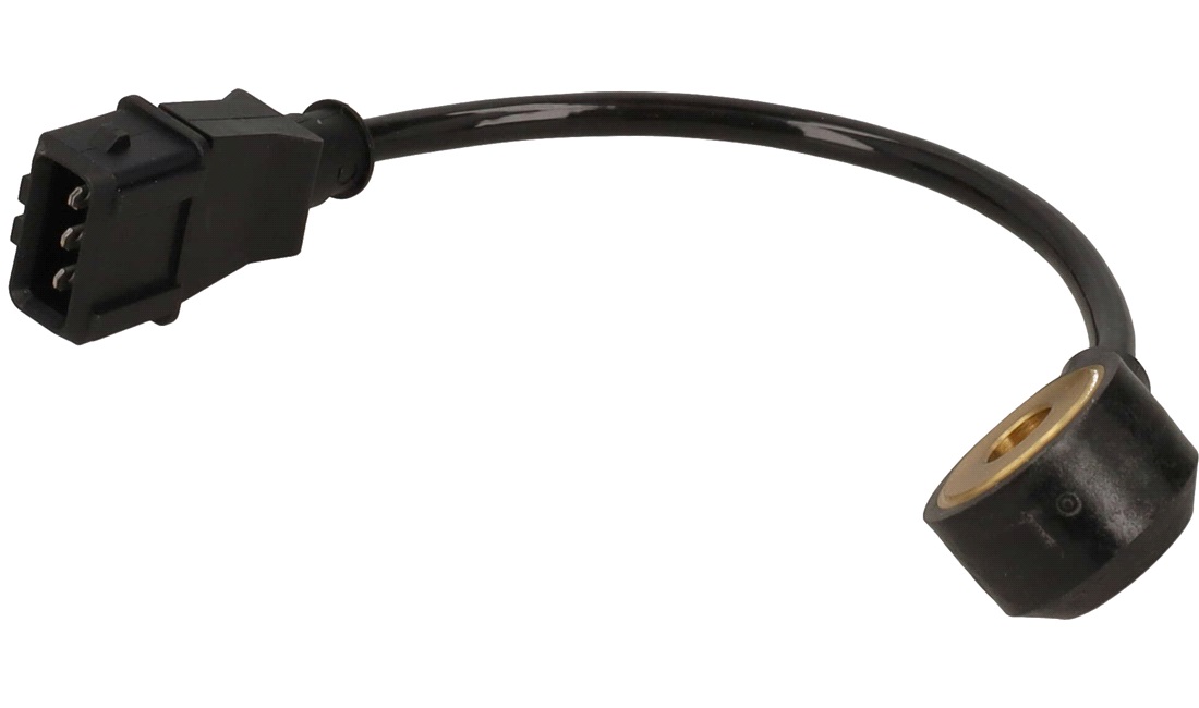 Bankesensor