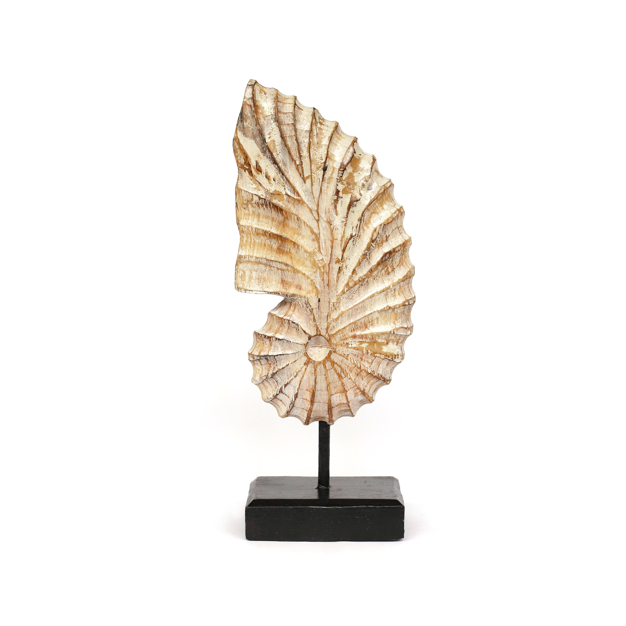 Muschel-Skulptur auf Ständer, whitewash, H 40 cm, B 17 cm, L 9 cm von fischer's lagerhaus
