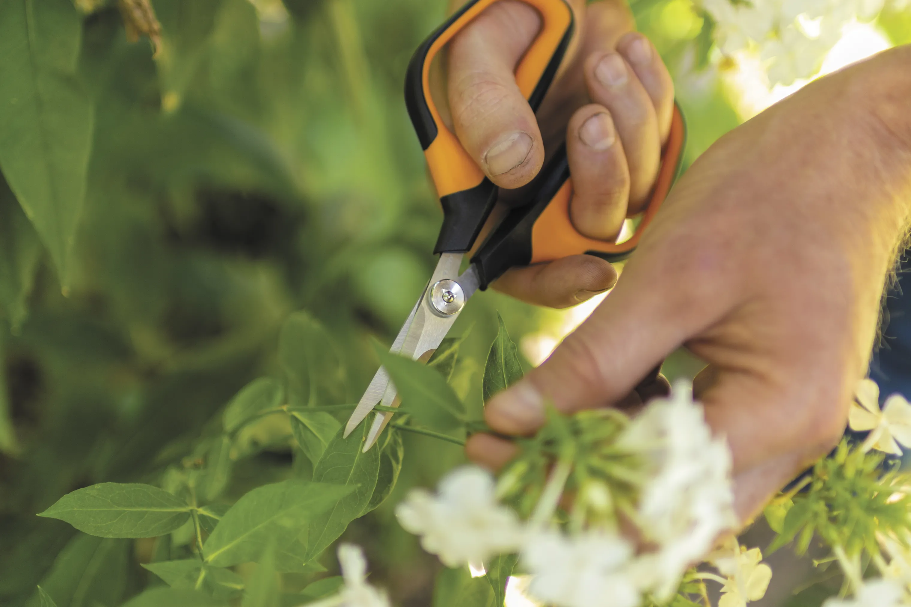 Fiskars Garden Solid Beskæresaks