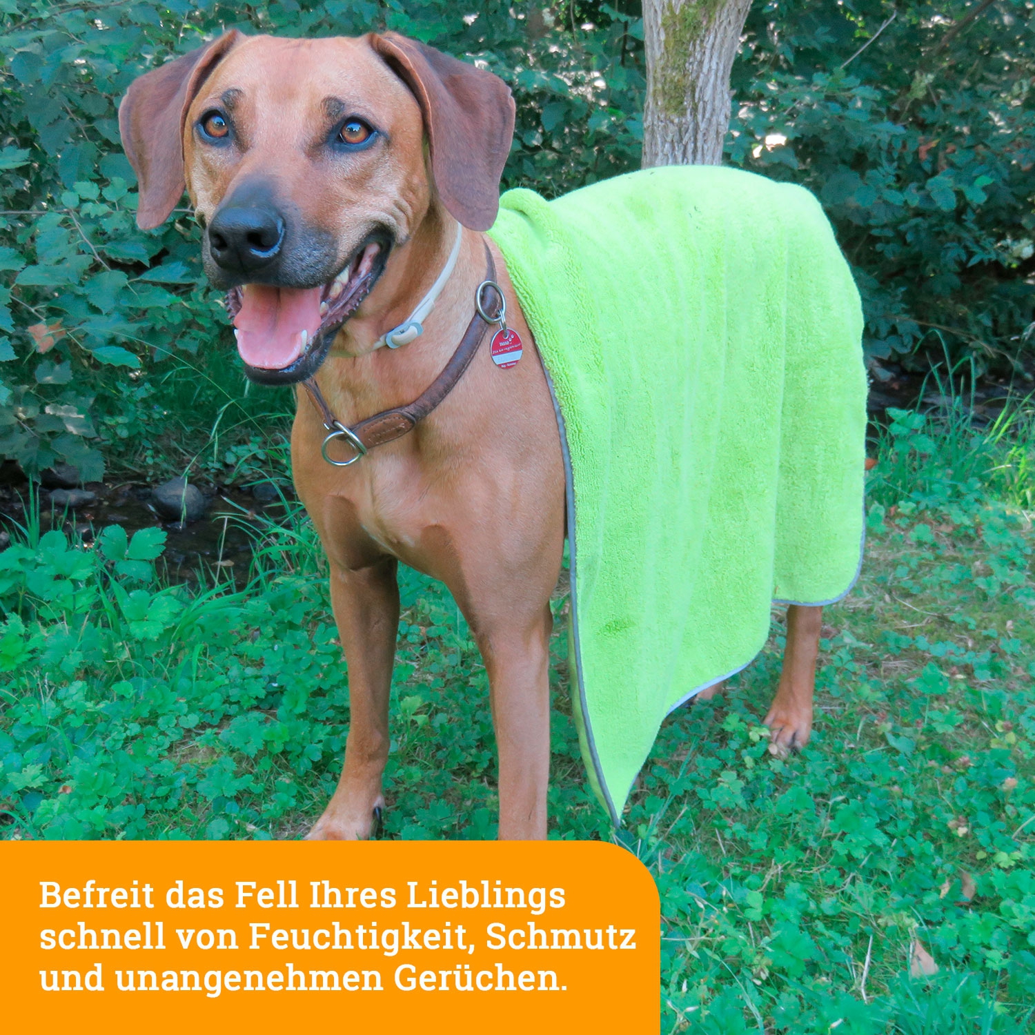Awiwa Mikrofaser Hundehandtuch