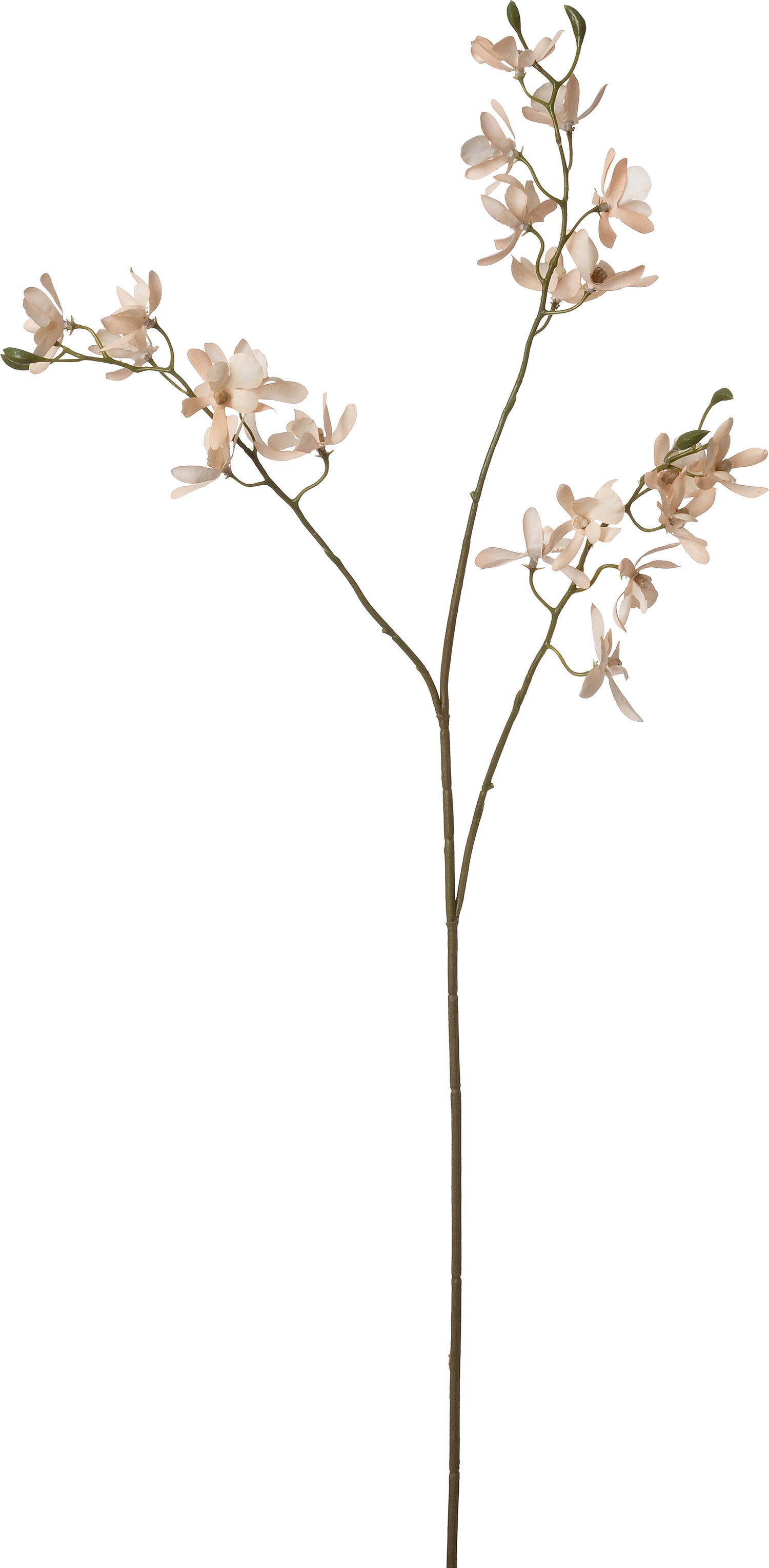Intratuin kunstbloem Clematis crème 72 cm