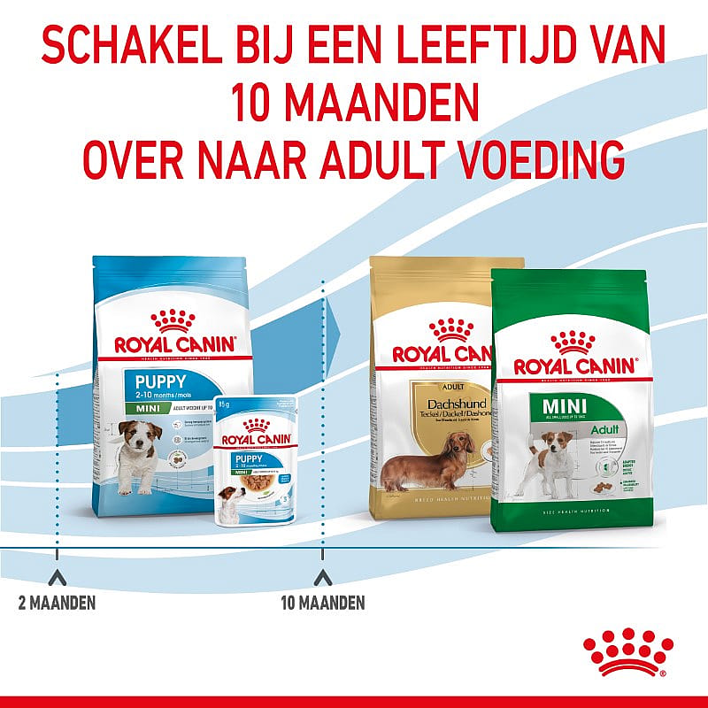 ROYAL CANIN® Small Dog Junior