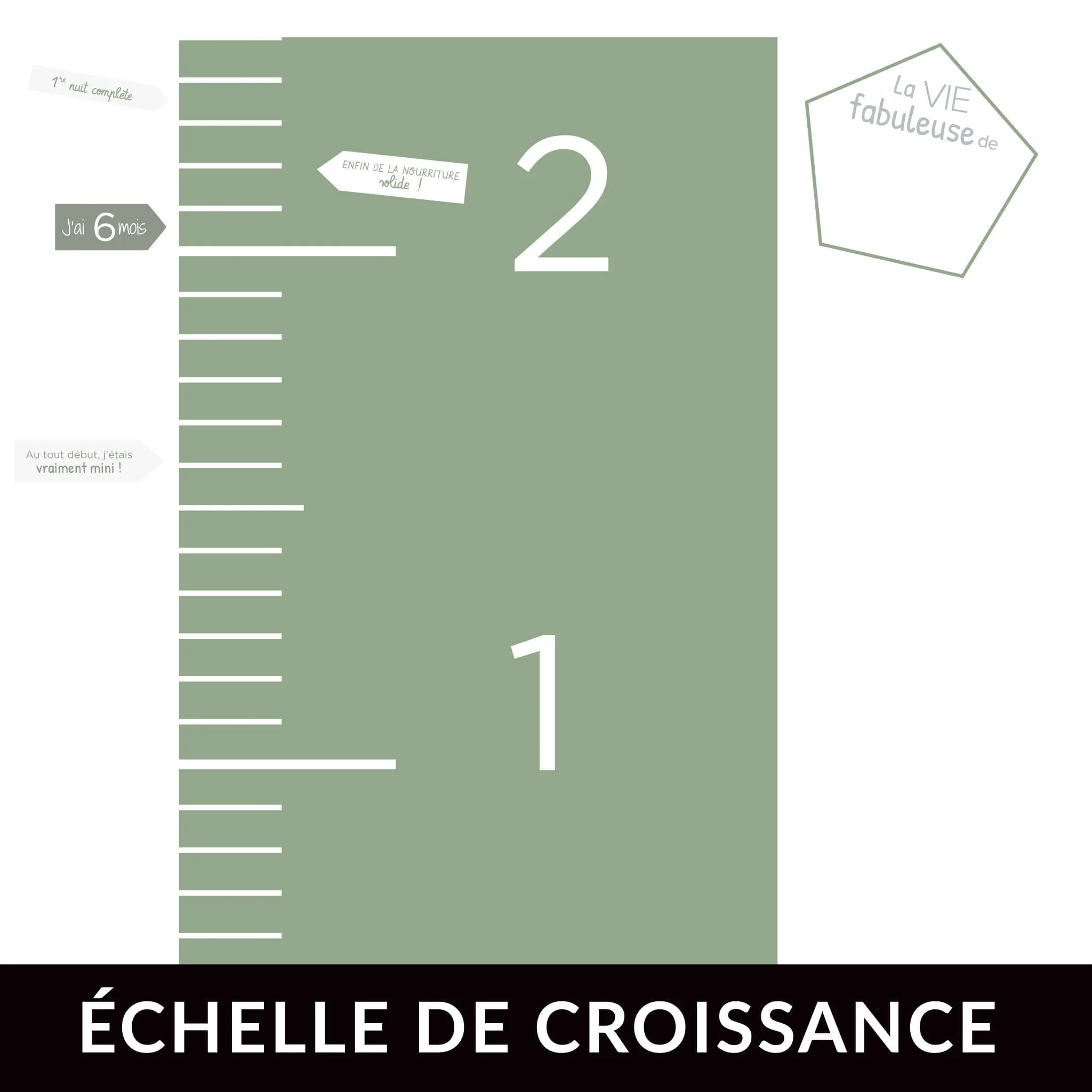 Origami Maison Échelle de croissance FR - Sauge