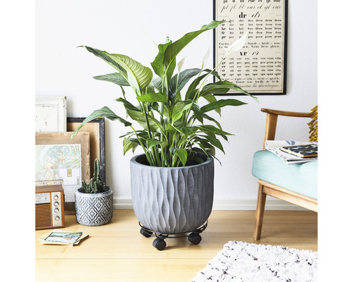 Plantenroldraad Ø 30 cm TK 60 kg