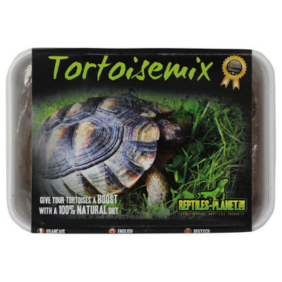 Reptile Planet Tortoisemix