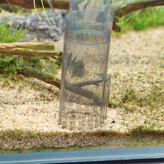 Cloche À Vase Proclean Aqua Ex 45-70