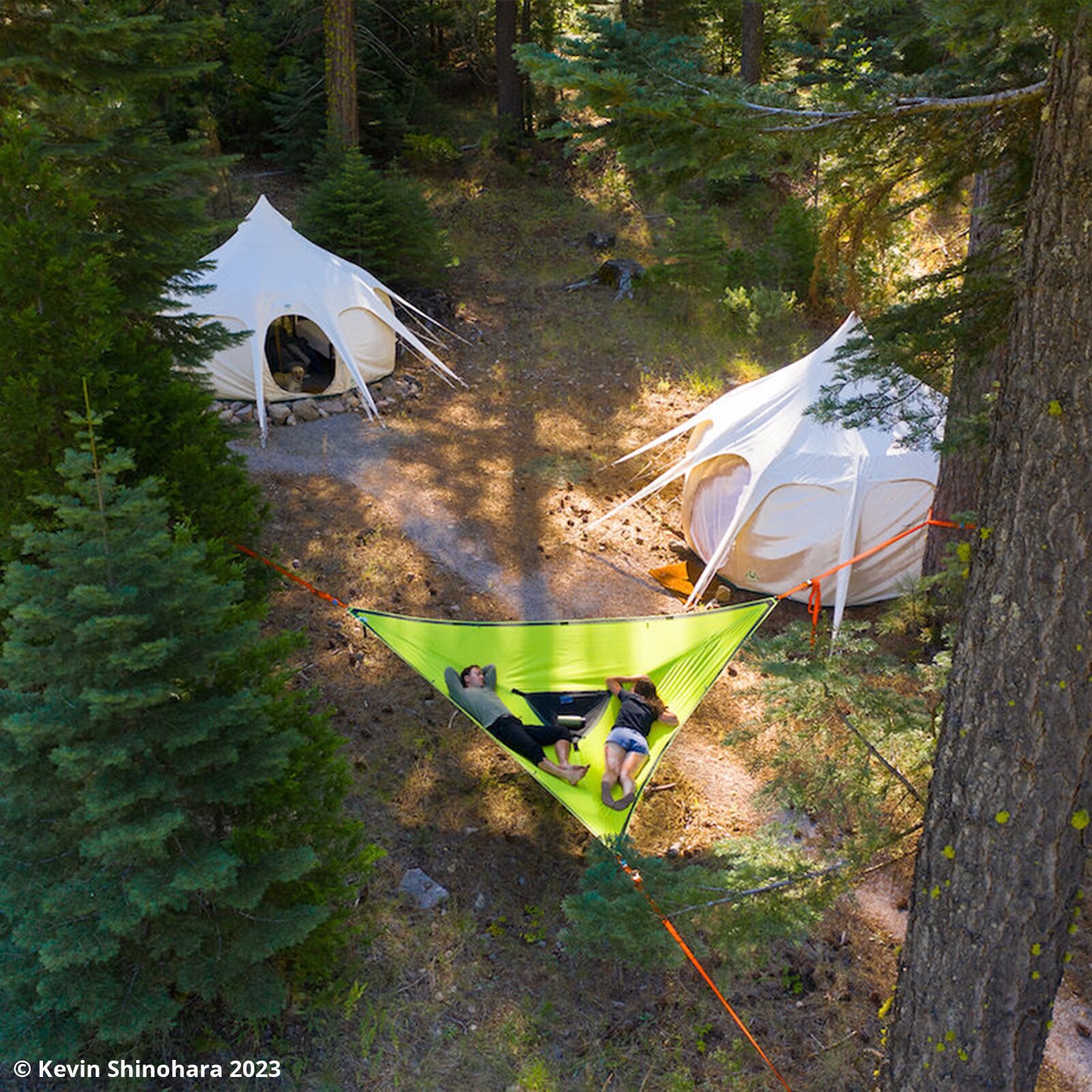 TENTSILE Hängematte Trillium 3 Personen Outdoor Trekking Dopppel Baumzelt 4x4 m Farbe: Green