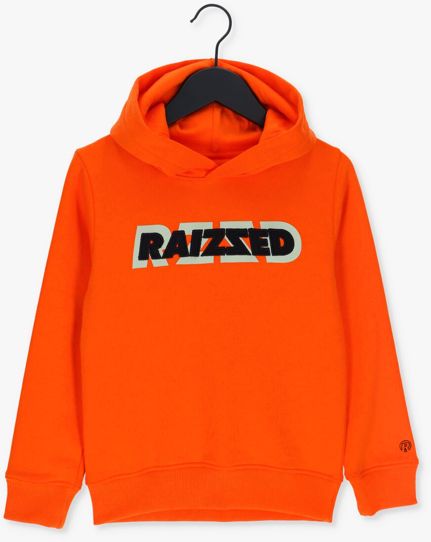 RAIZZED oranje raizzed sweater wilkes