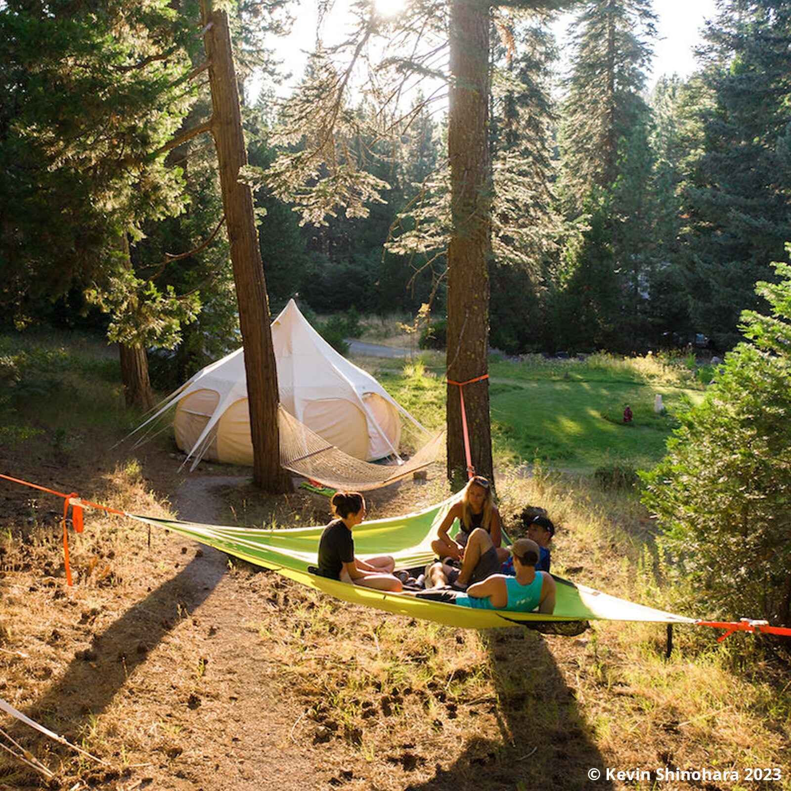TENTSILE Hängematte Trillium 3 Personen Outdoor Trekking Dopppel Baumzelt 4x4 m Farbe: Green