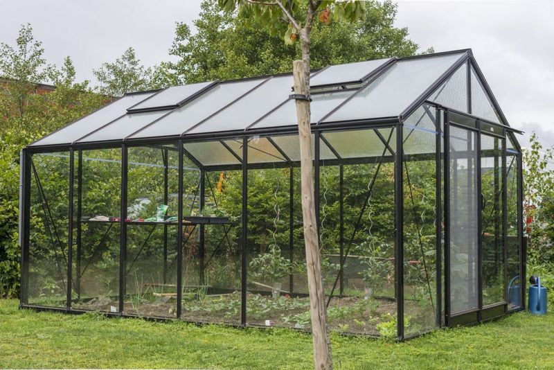 ACD - Prestige R306 - Tuinkas - 3,06 x 4,45m - Blackline