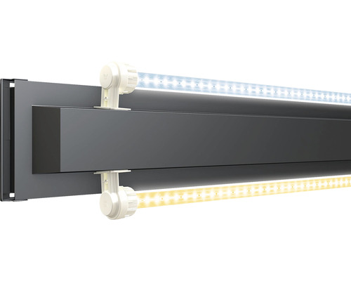 JUWEL Rio 450 aquarium met LED-verlichting, pomp, filter, verwarming (zonder kast), grijs