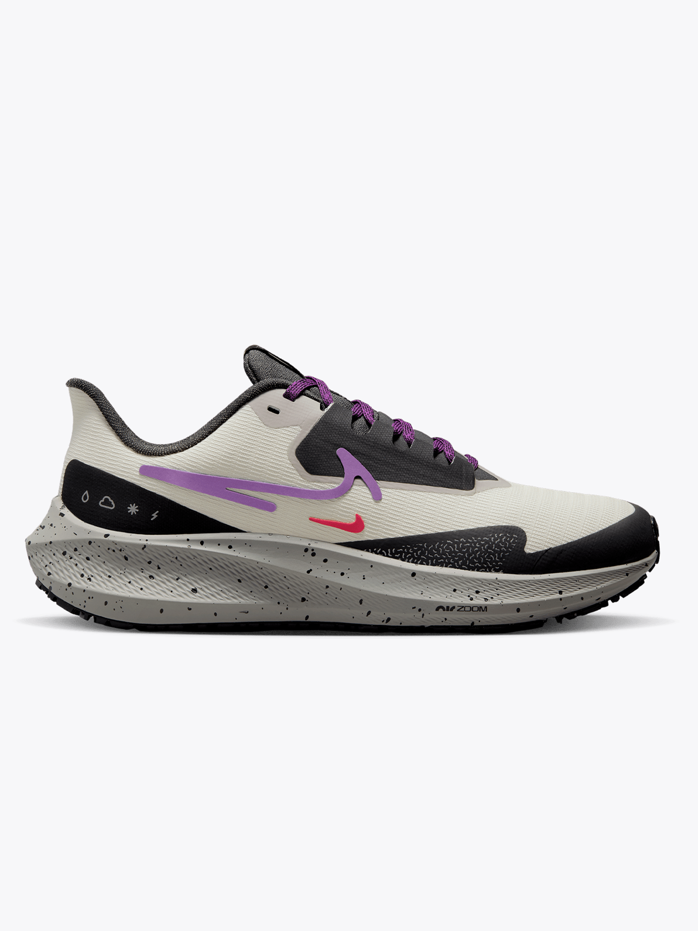 Air Zoom Pegasus 39 Shield