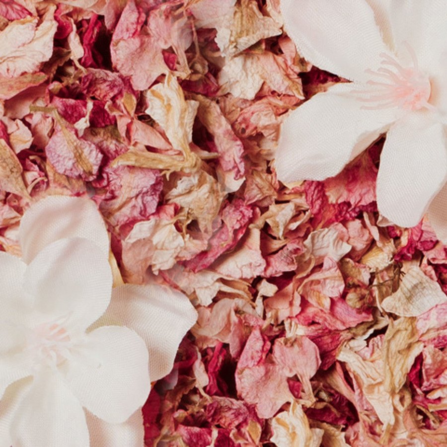 Wild Cherry Blossom Deo Refill 40g