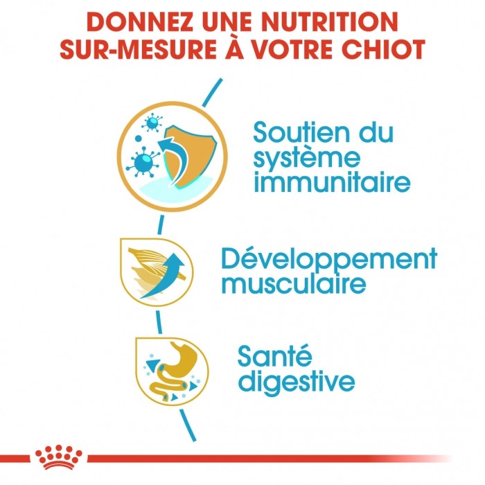 Royal Canin Boxer Puppy - Croquettes pour chiot