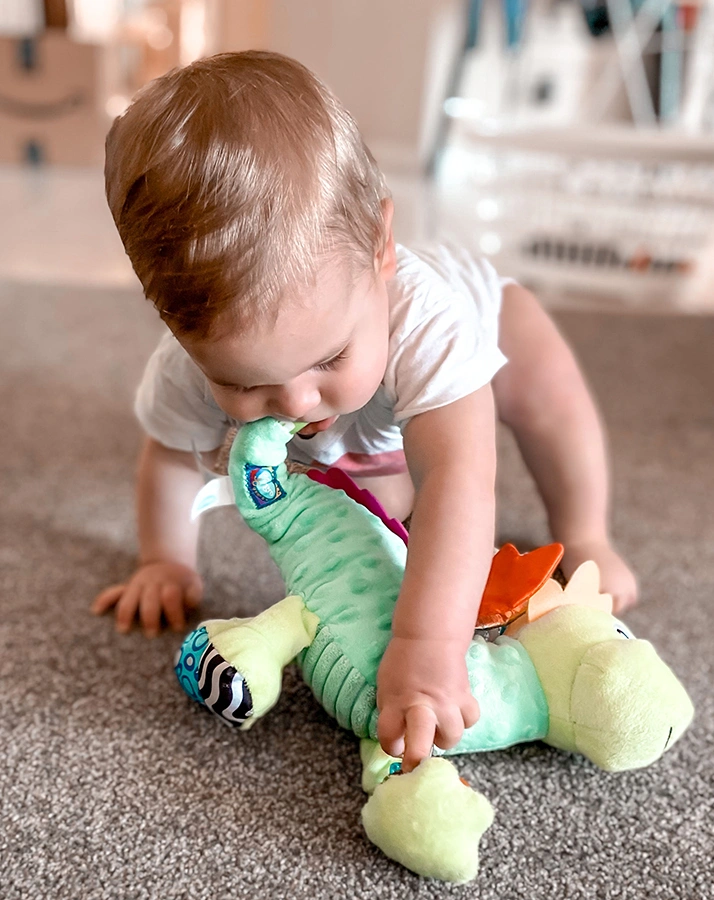 Activity-Spielzeug FRIEND - DRACHE in bunt