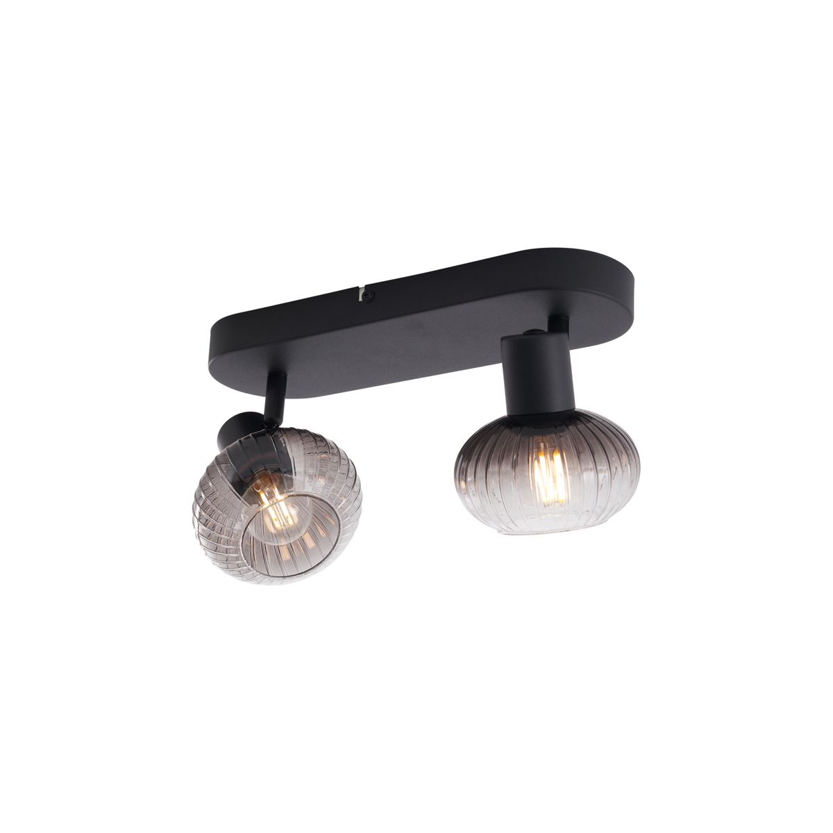 Afgeronde plafondspot zwart met smoke glas 2-lichts - Teddy