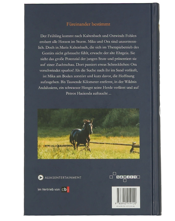 Auf der Suche nach Morgen / Ostwind Bd.4