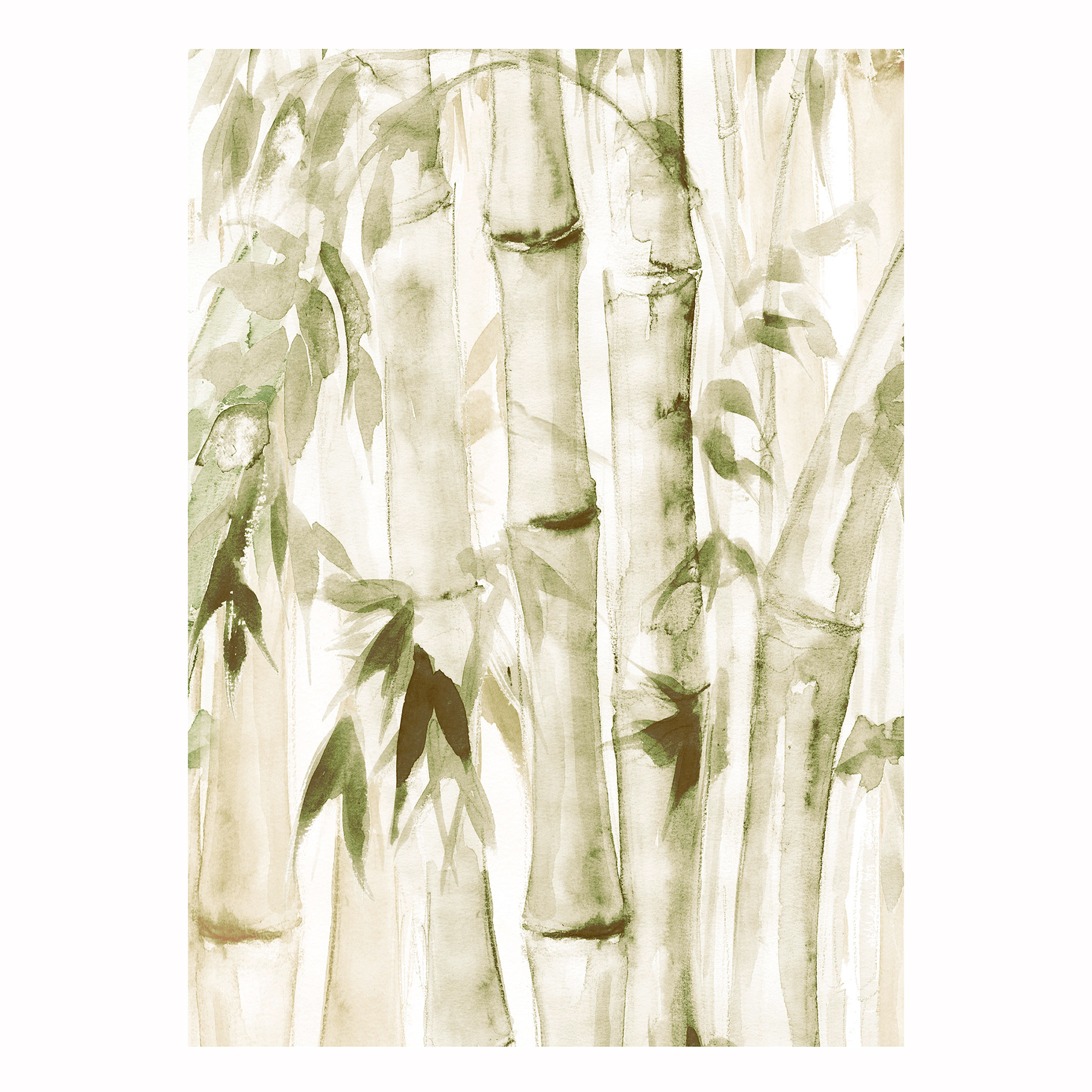 Wandbild WILD BAMBOO - grün-weiß - 50x70 cm