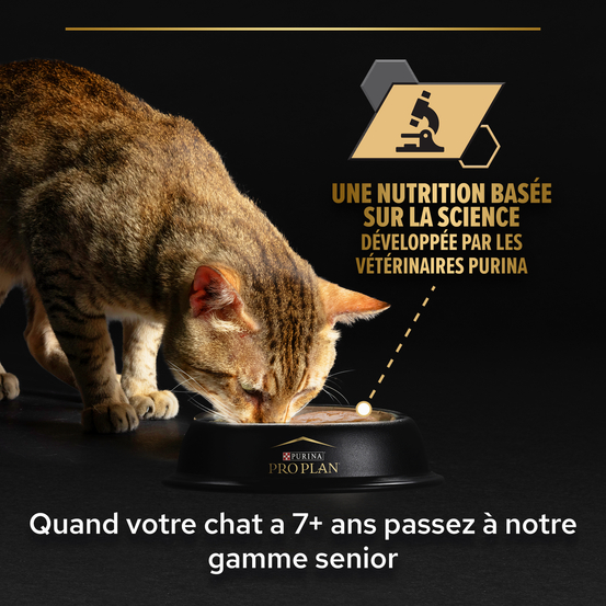 Terrine stérilised maintenance cabillaud pour chat 10x75g