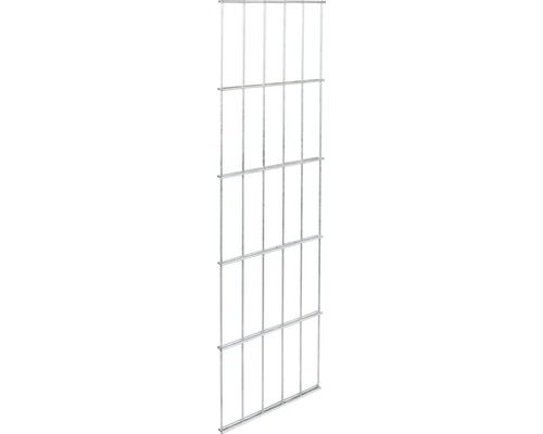 Dubbeldraads gaaspaneel ALBERTS 6/5/6 25 x 80 cm thermisch verzinkt
