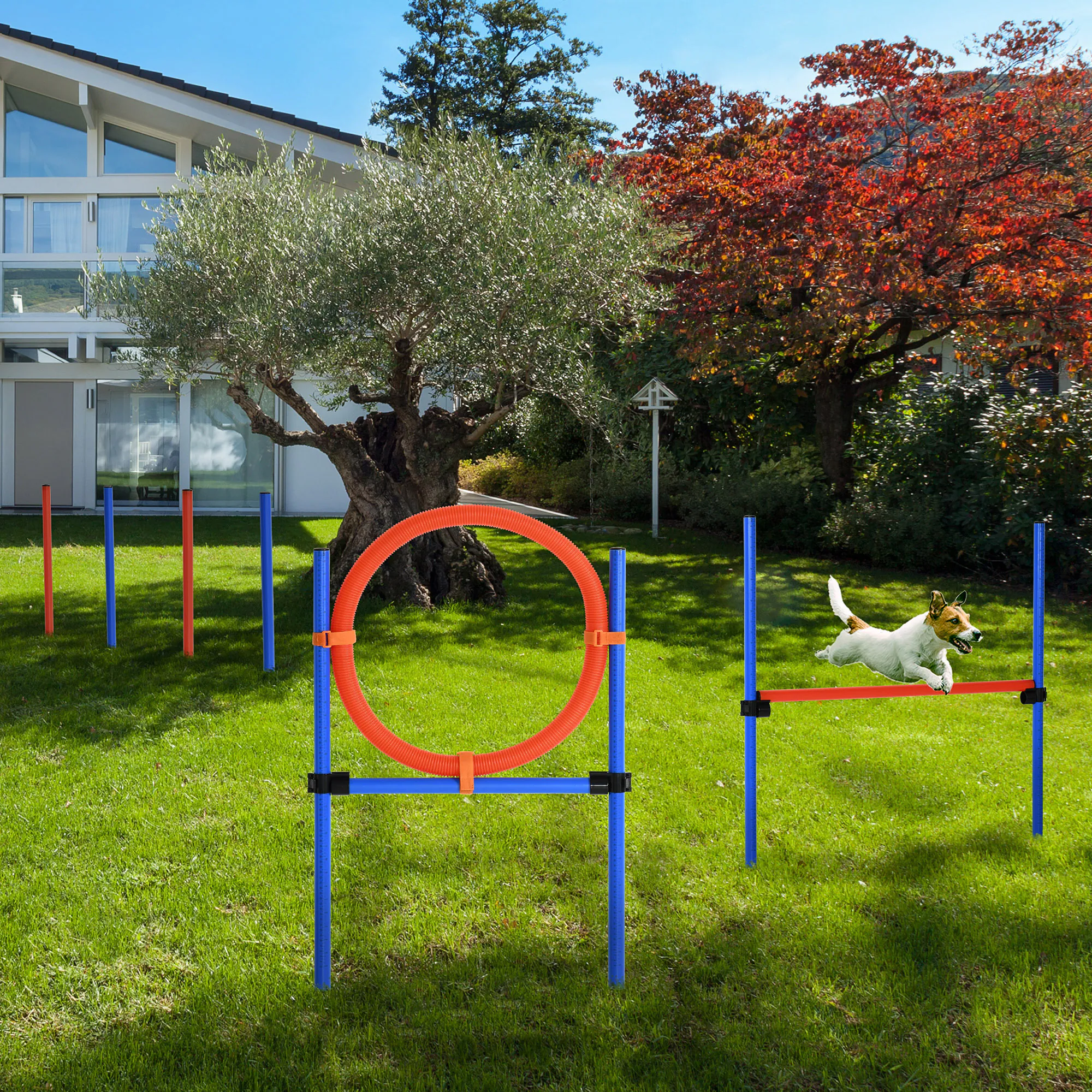 PawHut Hundesport blau, rot
