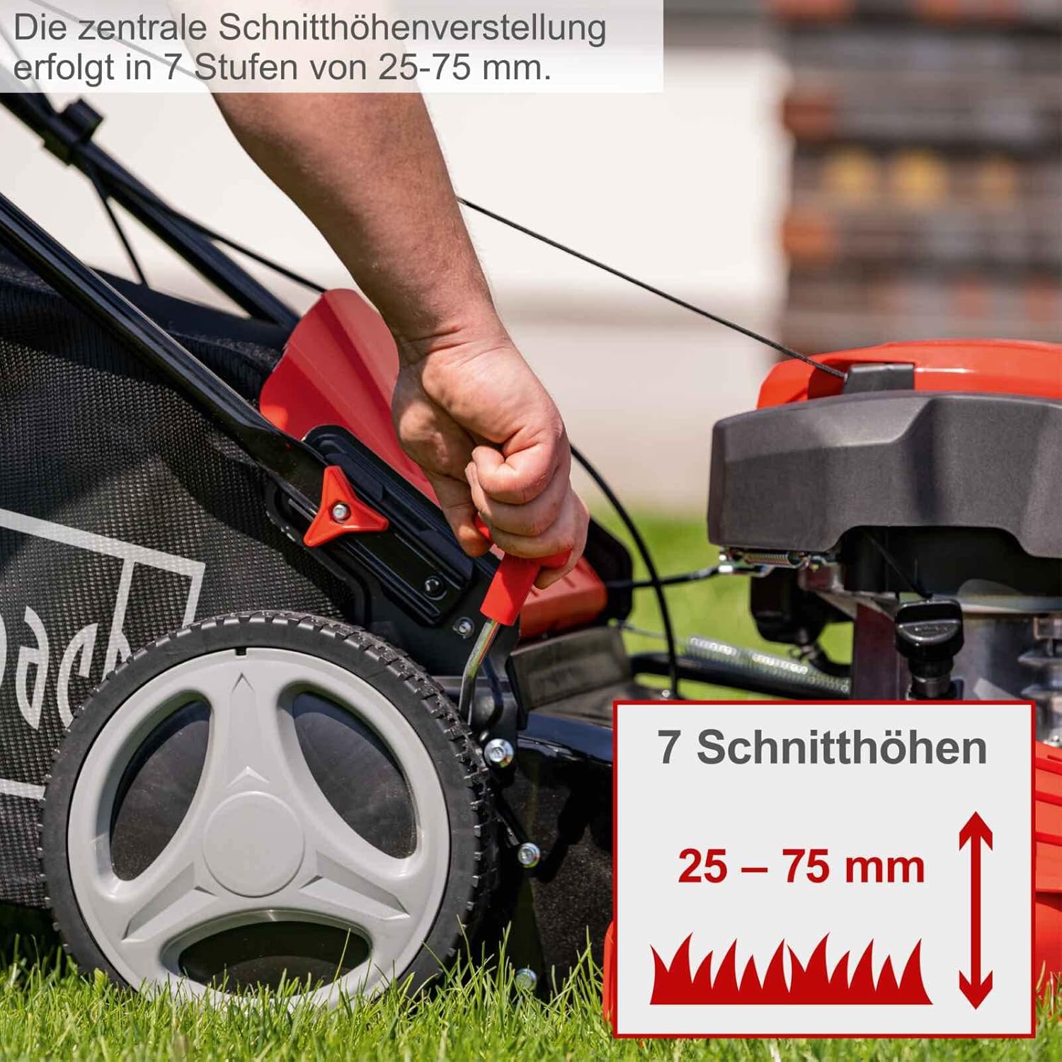 Scheppach Benzin Rasenmäher MS230-53 mit Radantrieb | 53cm Schnittbreite | 65L Fangbox | Höhenverstellung 7 Stufen | Seitenauswurf & Reinigungsfunktion | Mulchmäher | inkl. Motoröl