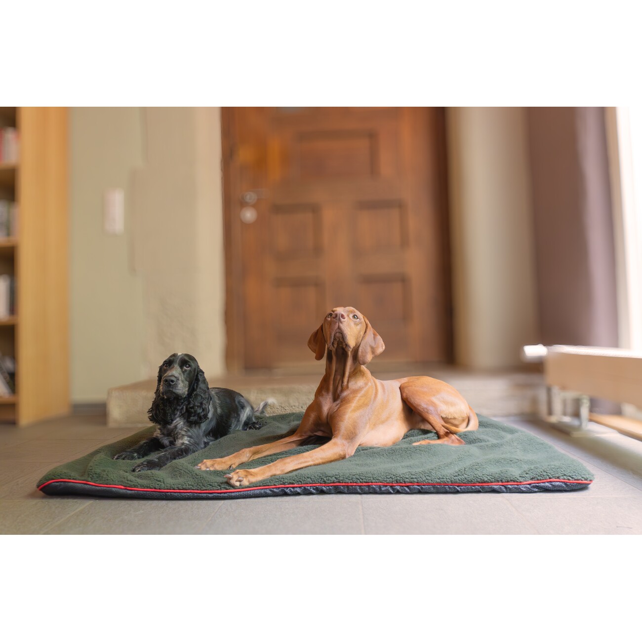 ROMNEYS Hundedecke Faserpelz 70 cm, 1 m