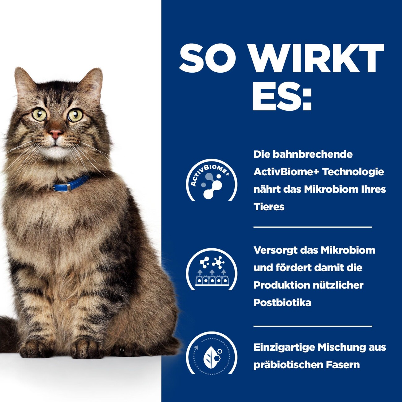 Hill's Prescription Diet Gastrointestinal Biome Digestive / Fibre Care mit Huhn 1,5 kg