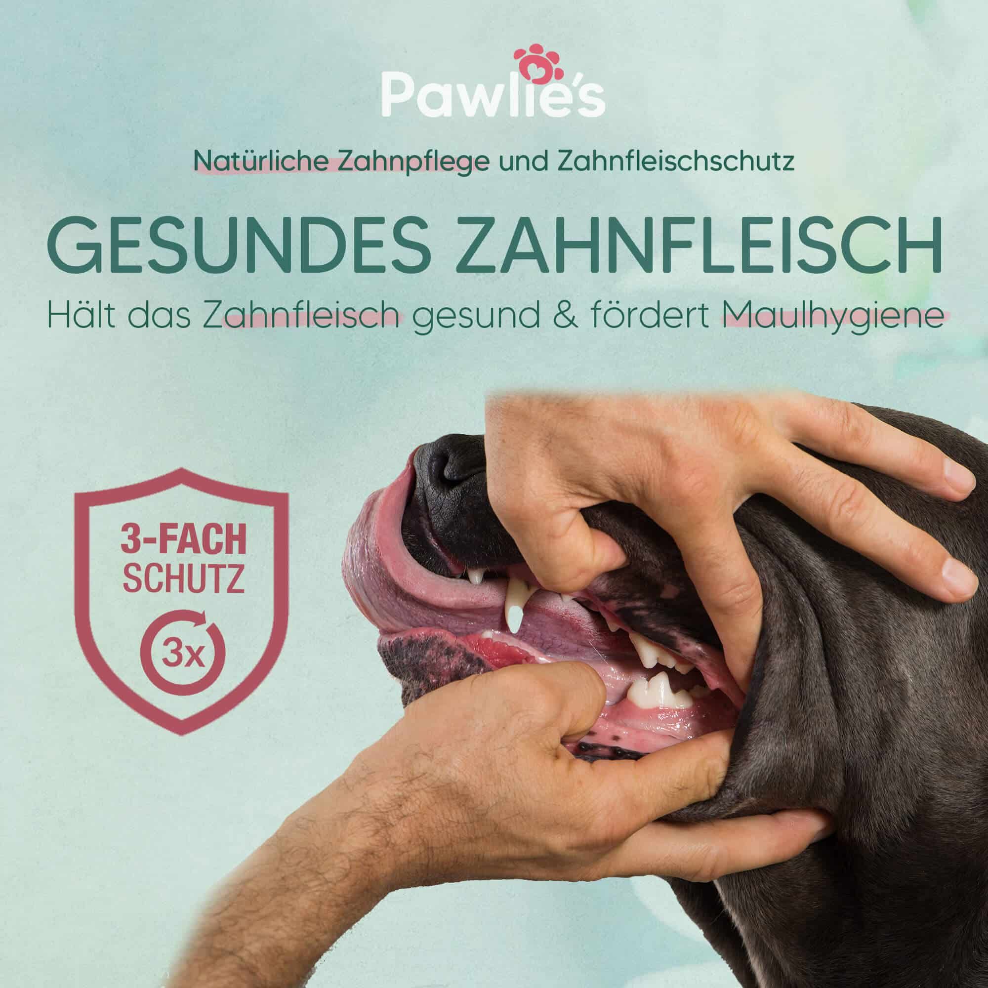 Pawlie's Zahnpflege-Set für Hunde & Katzen